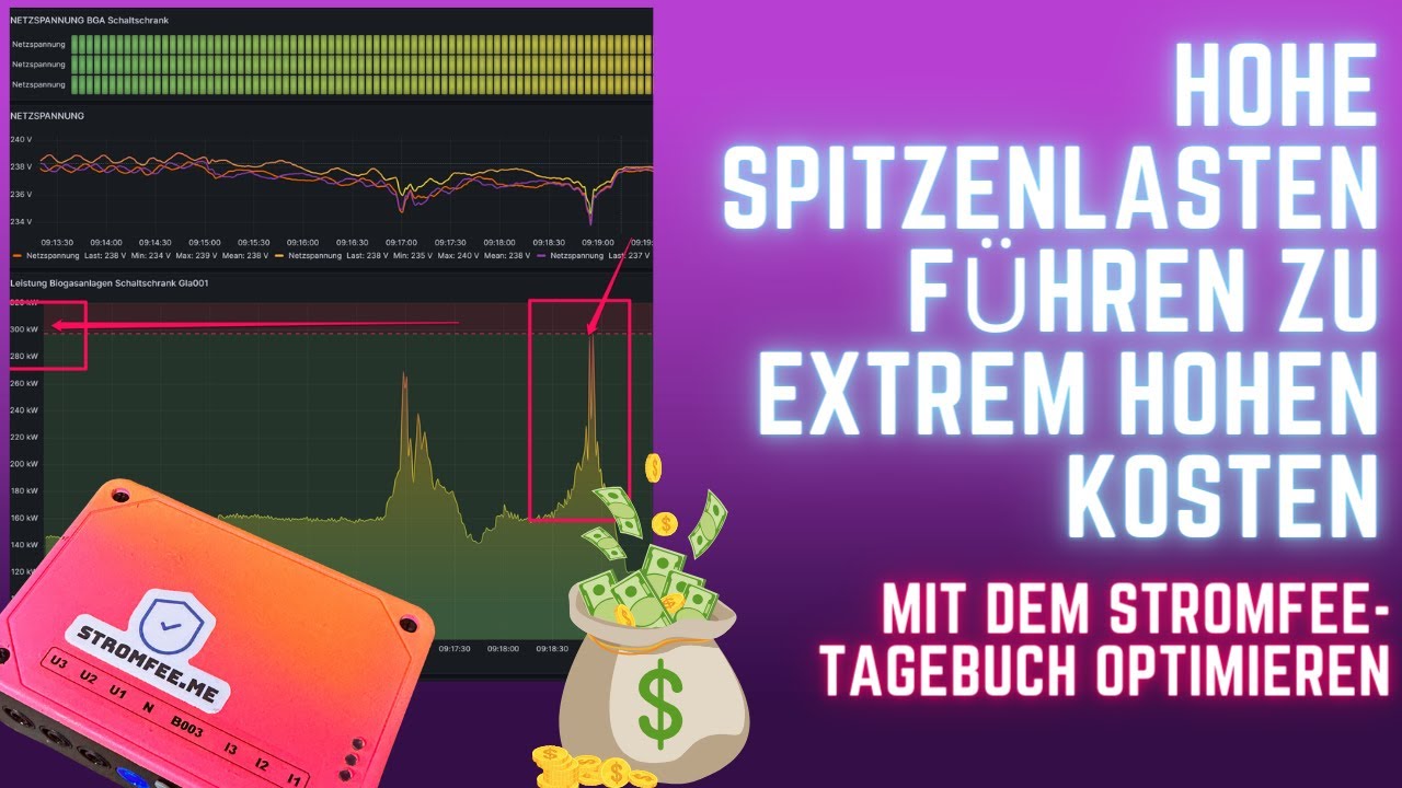 Expertenrat: Spitzenlasten optimieren